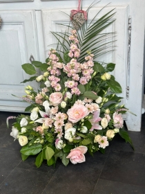 Pale Pink Front Facing Arrangements