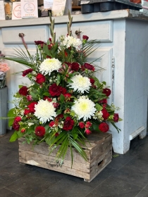 Red and White Front Facing Arrangements