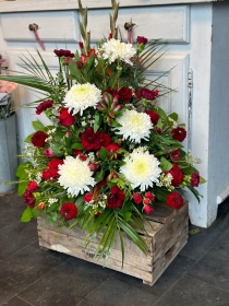 Red and White Front Facing Arrangements