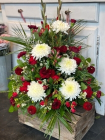 Red and White Front Facing Arrangements